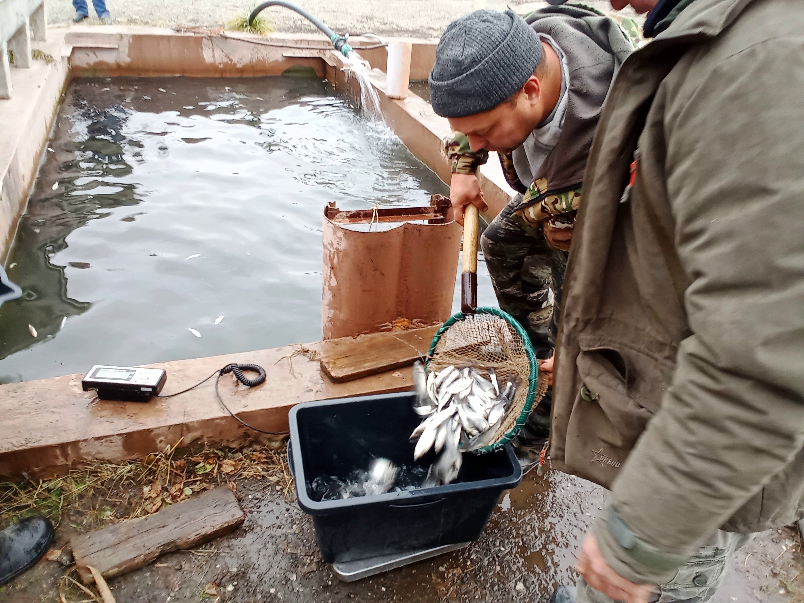 1 выпуск ряр 5.11.25