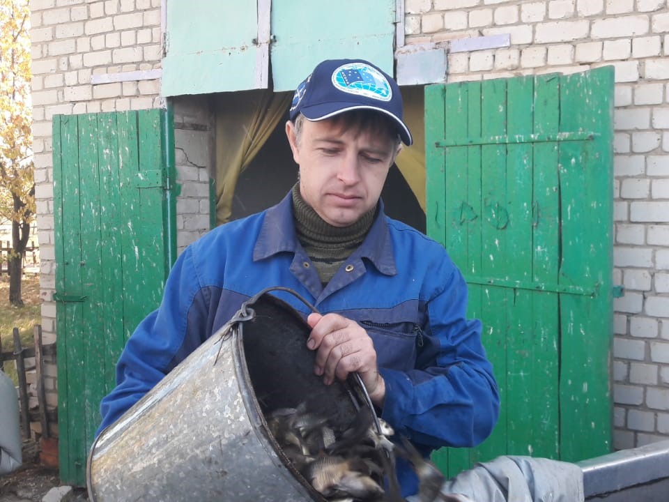 выпуск сазана октябрь 2023 2