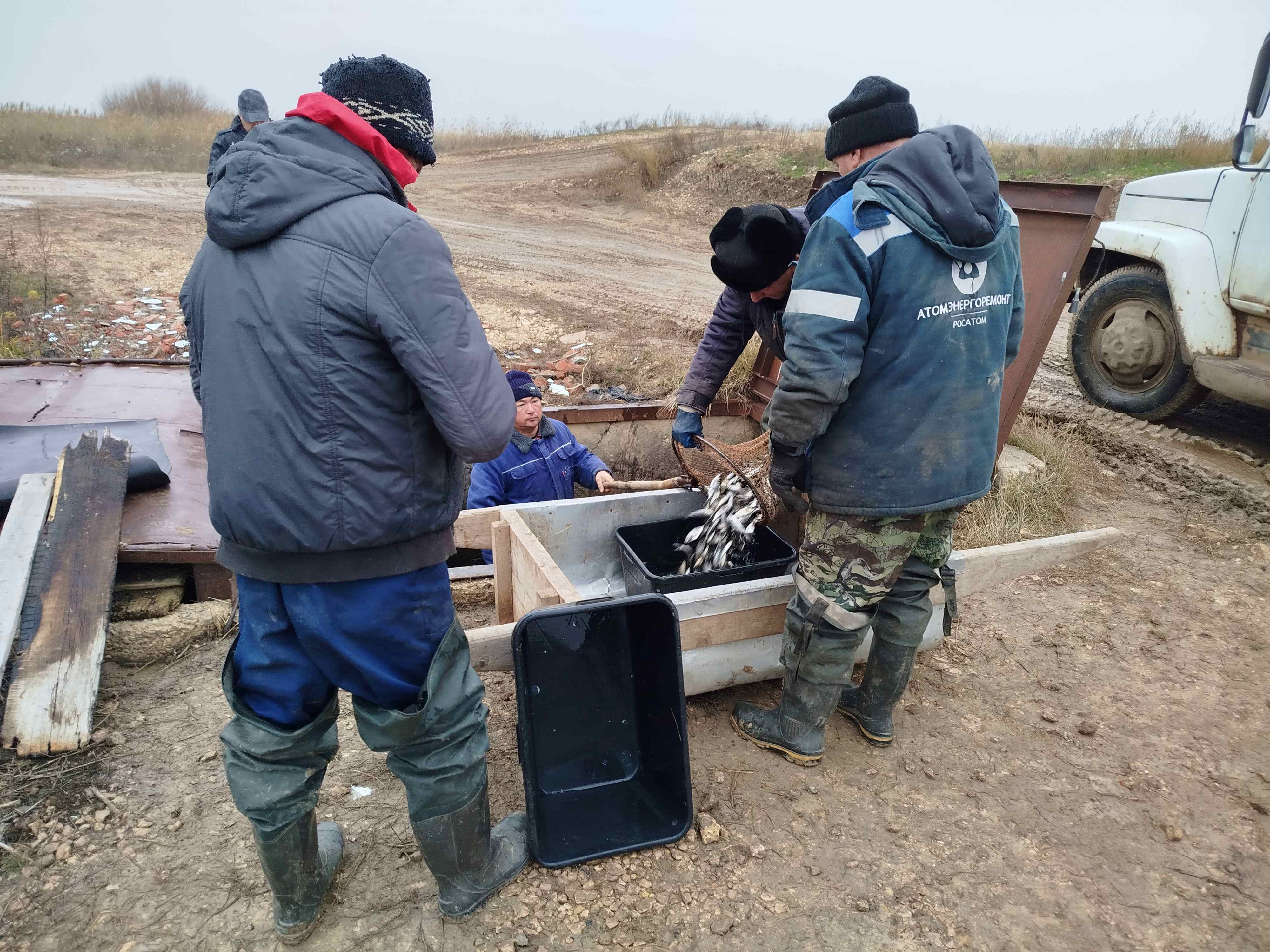 1 10.11.25 выпуск