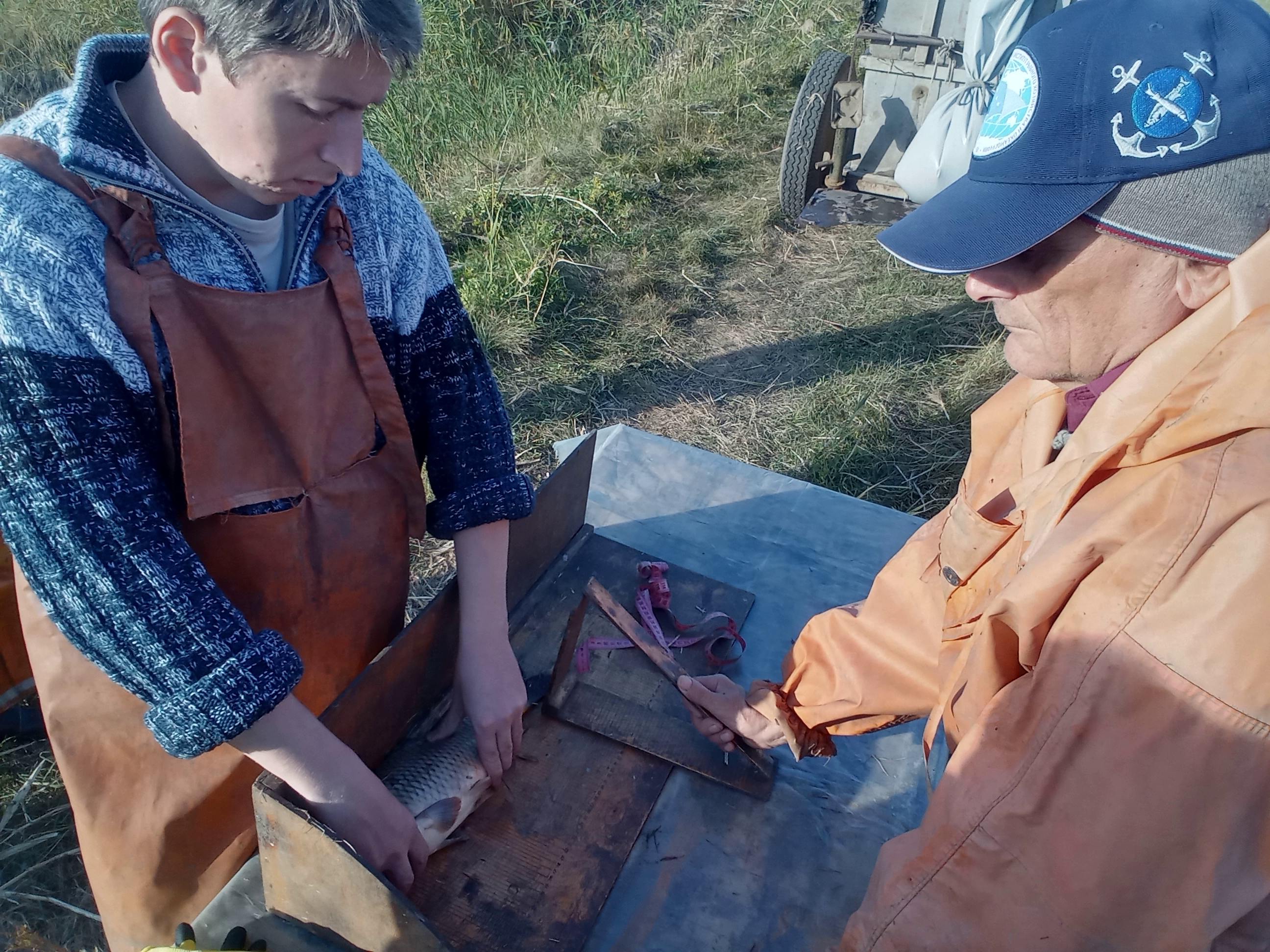 2 бонитировка осень