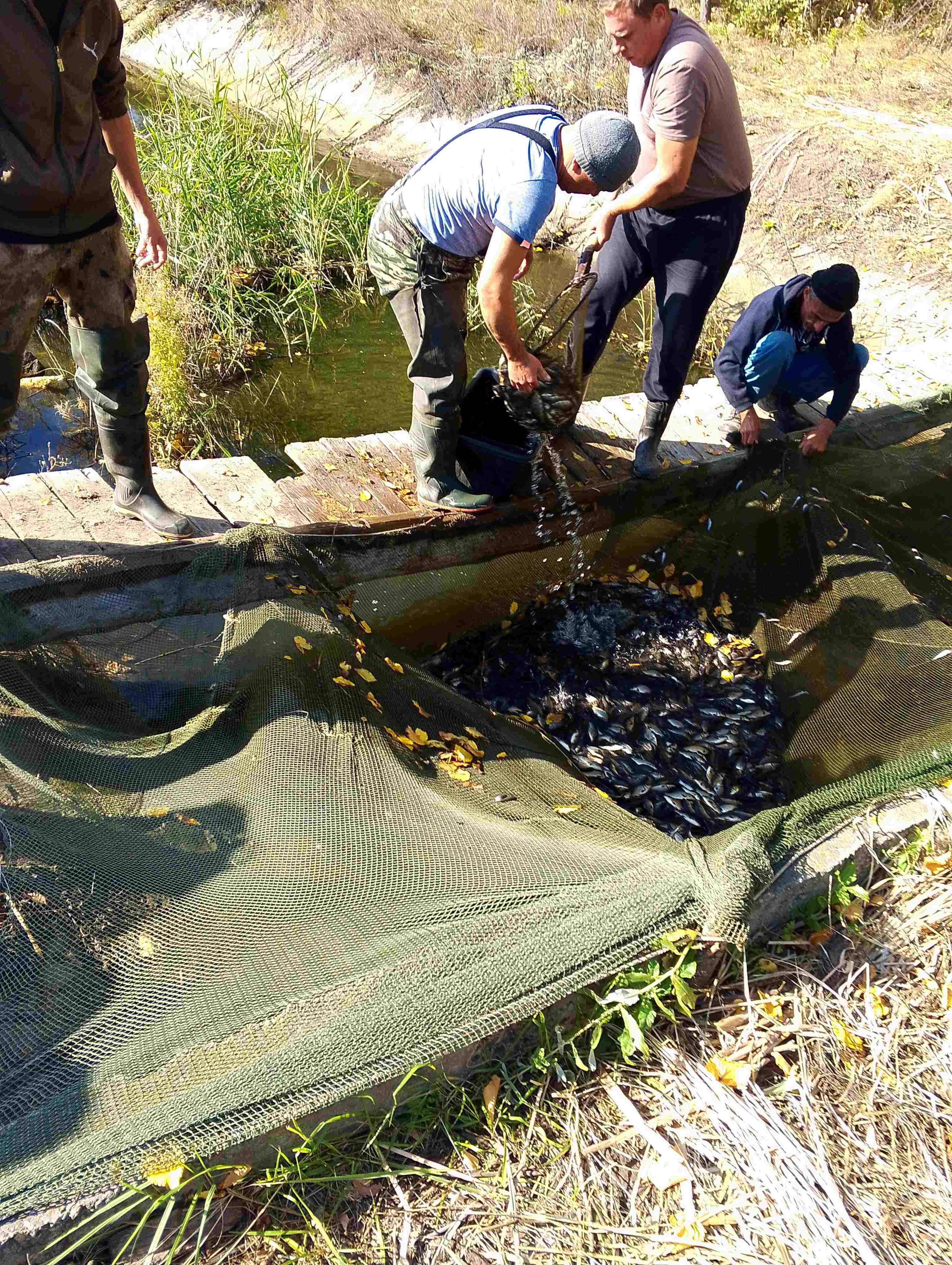 2 работа комиссии сентябрь 2025