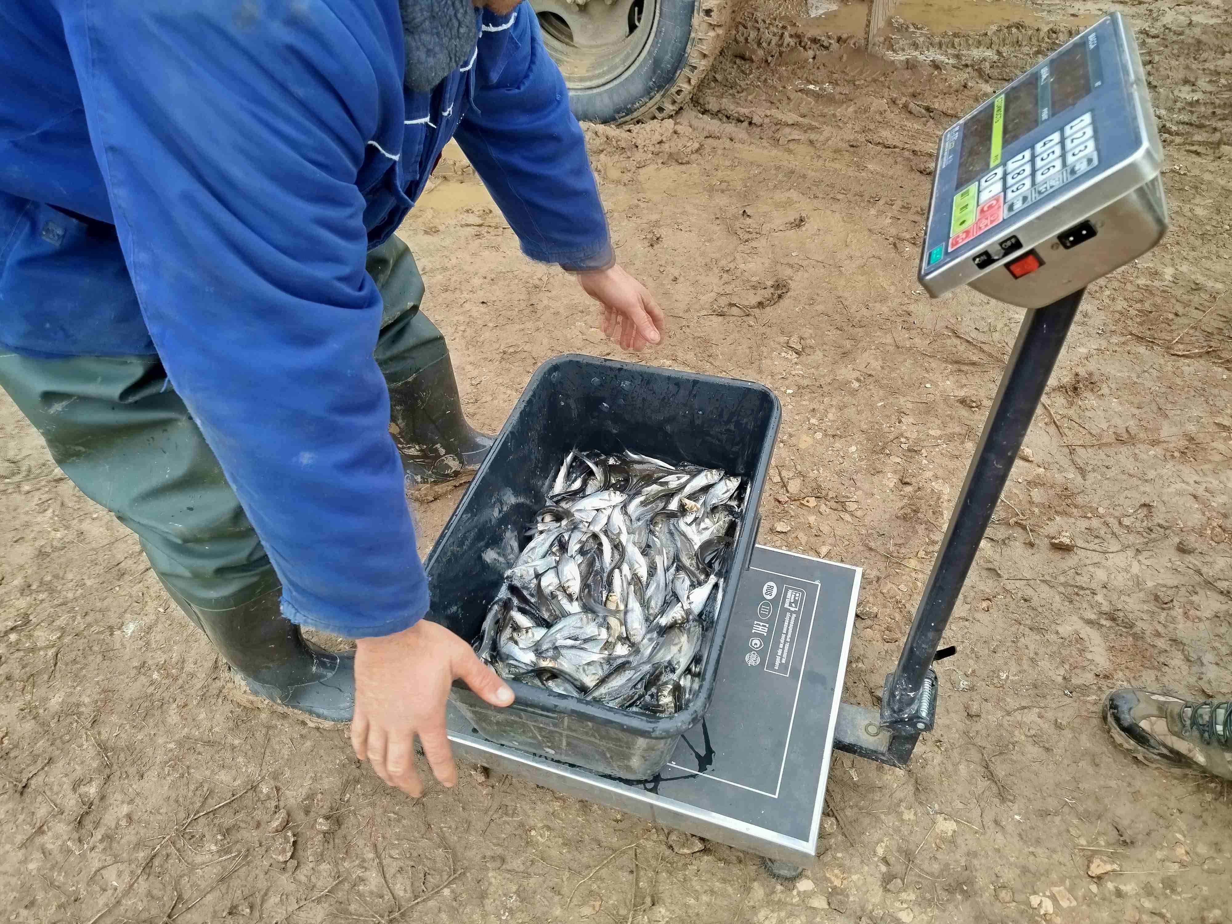 3 10.11.25 выпуск