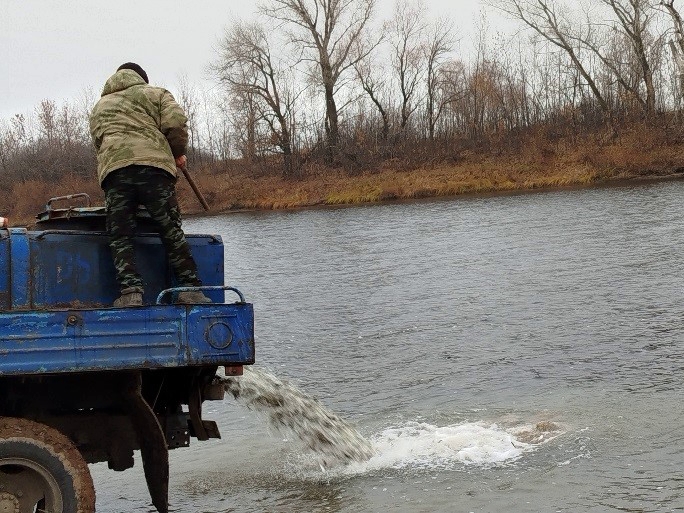 4 10.11.25 выпуск