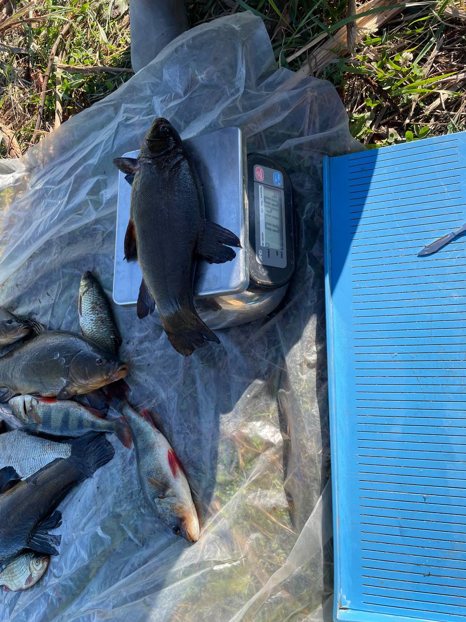 4 пэм сентябрь.jpg