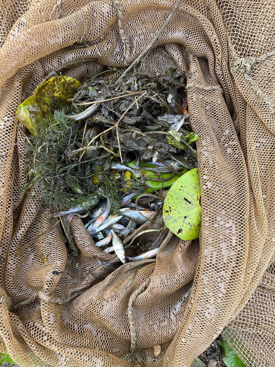 6 пэм сентябрь.jpg