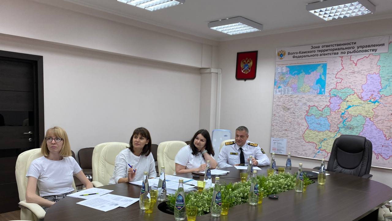 определение категорий июль 2023 2