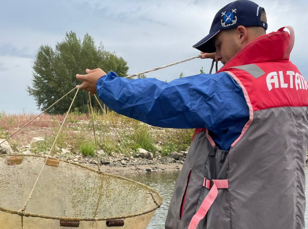 Специалисты Саратовского филиала ГНЦ РФ ФГБНУ «ВНИРО» в сентябре проводили исследования в Волгоградском и Саратовском водохранилищах в рамках производственно-экологического мониторинга (ПЭМ)