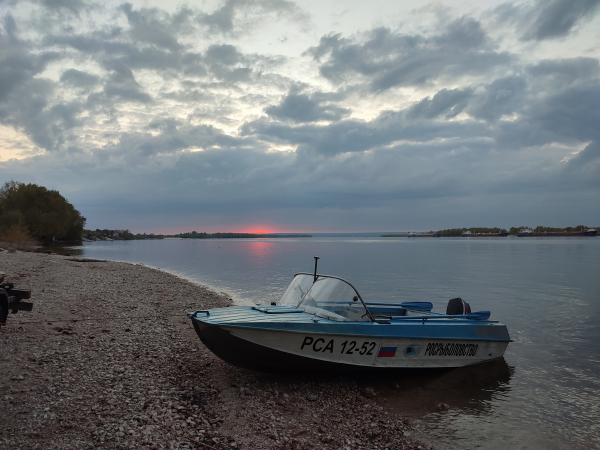 Изучение естественного нереста осетровых видов рыб в Саратовском водохранилище