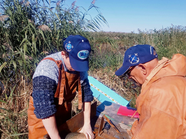 На экспериментальном участке Саратовского филиала ГНЦ РФ «ВНИРО» («СаратовНИРО») проходит осенняя бонитировка.