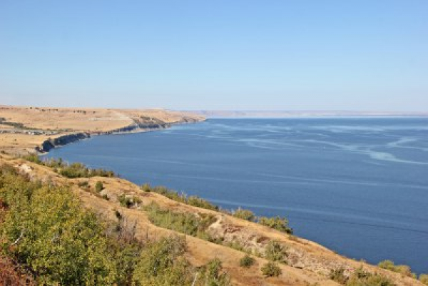 Ученые выпустили молодую стерлядь в Волгоградское водохранилище