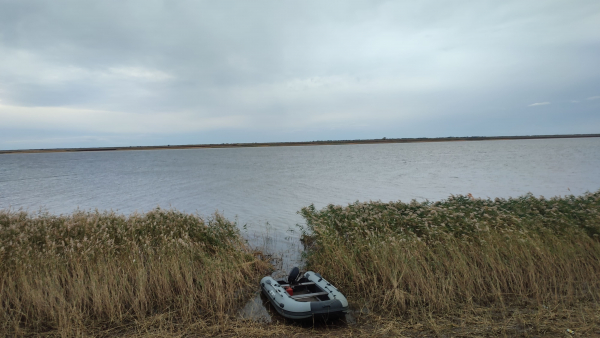 Полевые исследования на Саратовском и Волгоградском водохранилищах