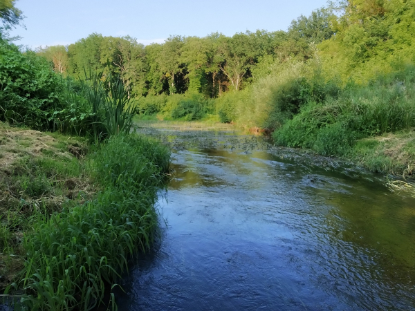 ПОЛЕВОЙ ВЫЕЗД СОТРУДНИКОВ ВНИРО НА СУРСКОЕ ВОДОХРАНИЛИЩЕ