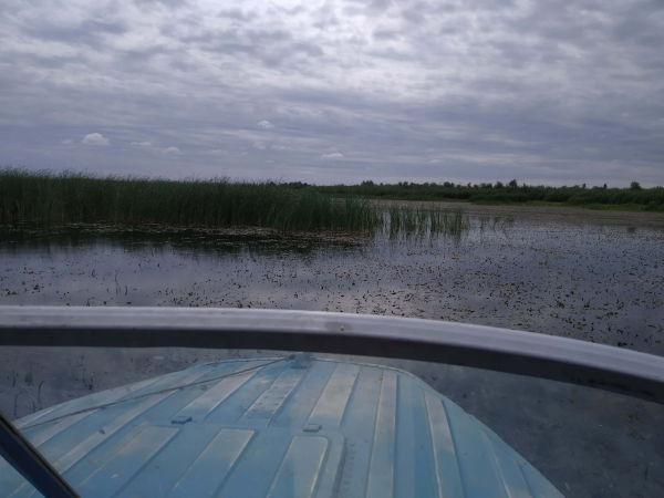ОТБОР ПРОБ НА ВОДНЫХ ОБЪЕКТАХ САМАРСКОГО ЗАВОЛЖЬЯ И ОРЕНБУРЖЬЯ