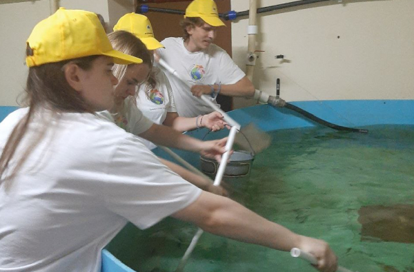 Компенсационные мероприятия на Саратовском водохранилище