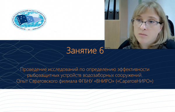 Курсы повышения квалификации